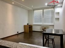 Pronájem bytu 1+kk, Ústí nad Labem - Krásné Březno, Rozcestí, 26 m2