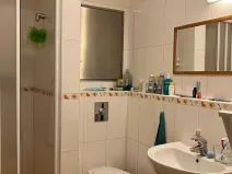 Prodej bytu 1+kk, Praha, Švehlova, 40 m2