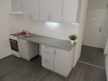 Pronájem bytu 1+1, Ostrava - Moravská Ostrava, Hornopolní, 34 m2