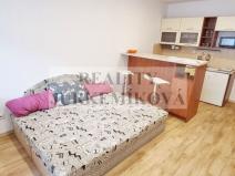 Pronájem bytu 1+kk, České Budějovice - České Budějovice 2, Otavská, 26 m2