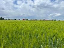 Prodej rodinného domu, Říčany, 200 m2