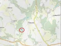 Prodej lesa, Pelhřimov, 11380 m2