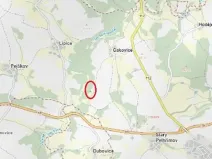 Prodej lesa, Pelhřimov, 1222 m2