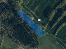 Dražba lesa, Olešná, 2967 m2