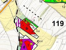 Dražba lesa, Olešná, 2967 m2