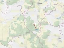 Dražba lesa, Kuřimany, 11584 m2