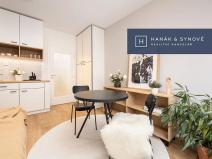 Pronájem bytu 1+kk, Brno, Cejl, 31 m2