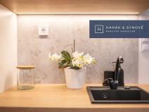 Pronájem bytu 1+kk, Brno, Cejl, 31 m2