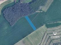 Prodej podílu pole, Těšany, 355 m2