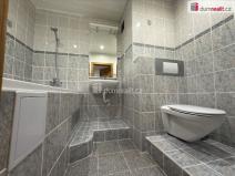 Pronájem bytu 1+1, Ústí nad Labem - Ústí nad Labem-centrum, Stará, 37 m2