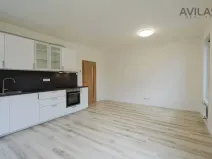 Pronájem bytu 1+kk, Benešov, U Pivovaru, 33 m2