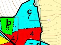 Dražba lesa, Kuřimany, 2850 m2