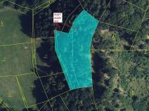 Dražba lesa, Vranová Lhota, 3744 m2