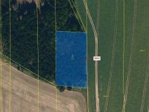 Dražba lesa, Žirovnice, 2931 m2