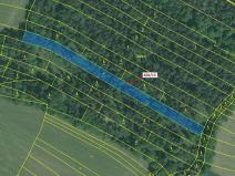 Dražba lesa, Milavče, 4689 m2