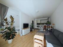 Pronájem bytu 1+1, České Budějovice, Nová, 47 m2