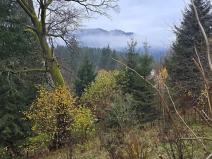 Prodej pozemku pro bydlení, Staré Hamry, 1212 m2