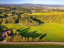 Prodej pozemku pro bydlení, Dubičné, 2000 m2
