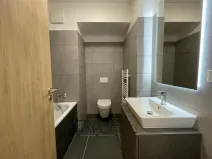 Pronájem bytu 1+kk, Ostrava, Hasičská, 35 m2