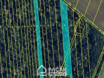 Prodej lesa, Pňovice, 10670 m2