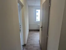 Pronájem bytu 2+1, Bílina, M. Švabinského, 55 m2