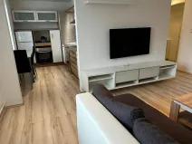 Prodej bytu 2+kk, Ostrava, Krasnoarmejců, 55 m2