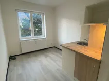 Pronájem bytu 1+kk, Praha - Hlubočepy, Na Zlíchově, 14 m2