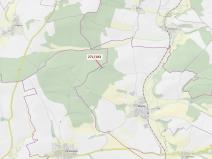 Dražba lesa, Milavče, 2398 m2