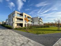 Pronájem bytu 3+kk, Olomouc - Nová Ulice, Milana Ticháka, 110 m2