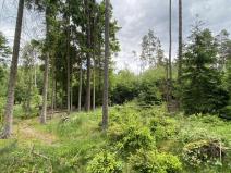 Prodej lesa, Blížejov - Lštění, 4152 m2