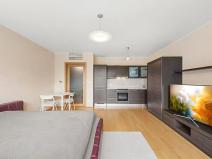 Pronájem bytu 1+kk, Praha - Žižkov, Ke kapslovně, 51 m2