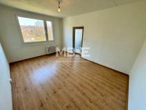 Pronájem bytu 1+1, Hostomice, 36 m2