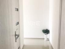 Pronájem bytu 1+1, Karviná - Ráj, V Aleji, 43 m2