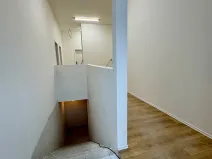 Pronájem ubytování, Brno, Štefánikova, 300 m2