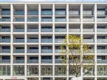 Pronájem kanceláře, Praha - Karlín, Thámova, 293 m2