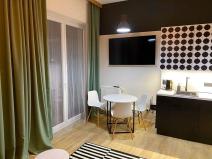 Pronájem bytu 1+kk, Brno, Spolková, 39 m2