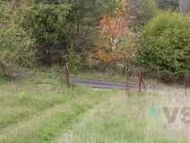 Prodej pozemku, Solenice, 44692 m2