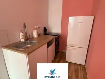 Pronájem bytu 1+kk, Teplice, Přítkovská, 32 m2
