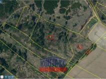 Prodej lesa, Volfířov - Řečice, 12476 m2