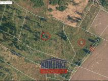 Prodej lesa, Volfířov - Řečice, 12476 m2