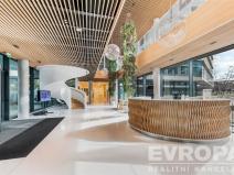 Pronájem kanceláře, Praha - Holešovice, Plynární, 670 m2