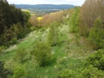 Dražba louky, Křenov, 16180 m2