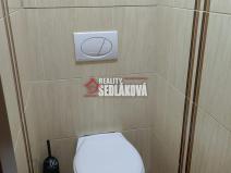 Pronájem bytu 3+1, Děčín - Děčín XXVII-Březiny, Kosmonautů, 82 m2