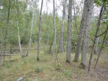 Prodej zahrady, Liberec, 1233 m2