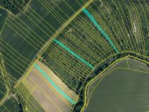 Prodej pole, Hoštice, 13600 m2