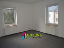 Pronájem bytu 1+1, České Budějovice - České Budějovice 6, Mánesova, 42 m2