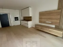 Prodej bytu 1+kk, Praha - Holešovice, V háji, 43 m2