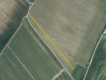 Prodej pole, Lovčice, 5984 m2