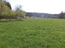 Prodej pozemku, Dešná - Dančovice, 4036 m2