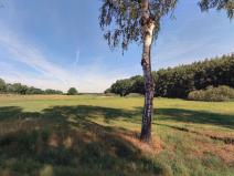 Prodej pole, Vodňany - Újezd, 8684 m2